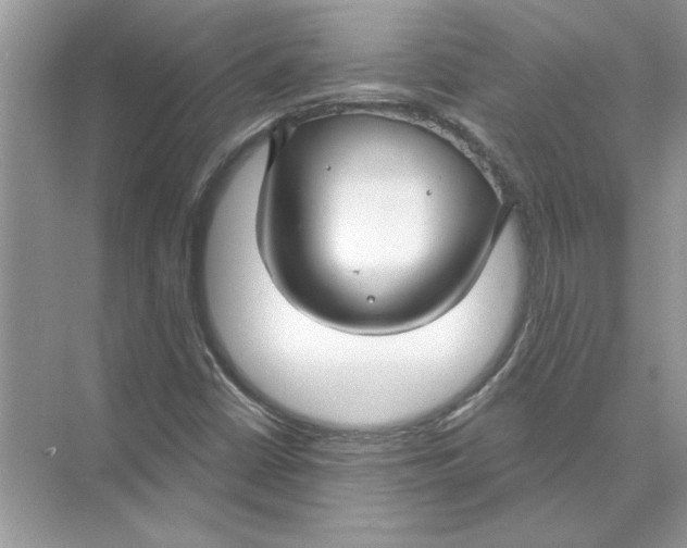 X0000074261402200609222139