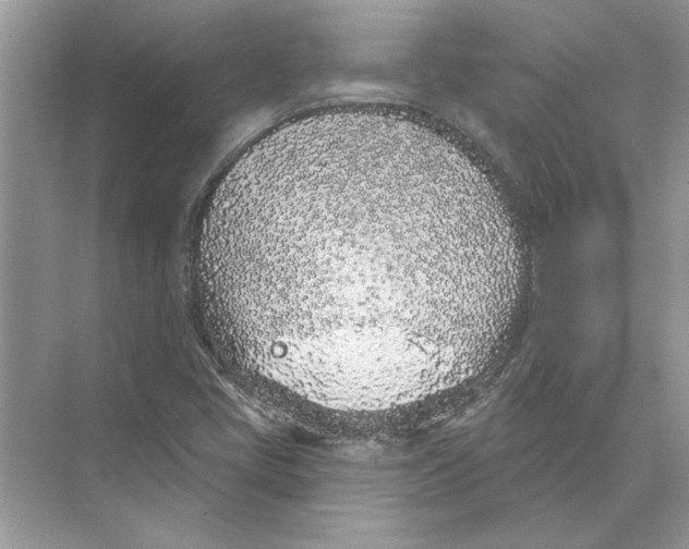 X0000074261405200609222139