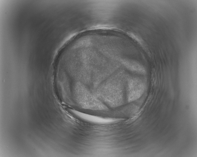 X0000074261406200609222139