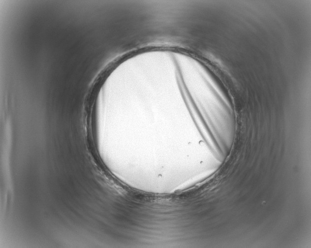 X0000074261408200609222139