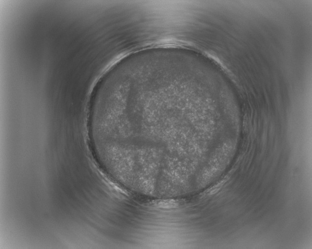 X0000074261410200609222139