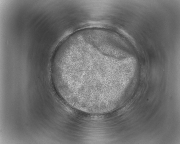 X0000074261411200609222139