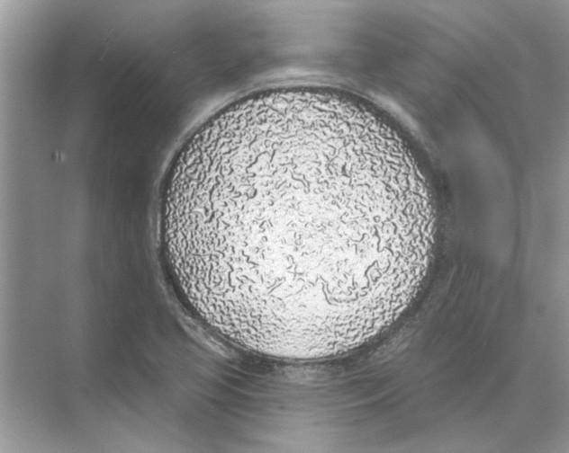 X0000074261413200609222139