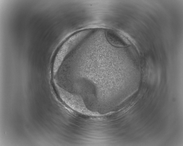 X0000074261415200609222139