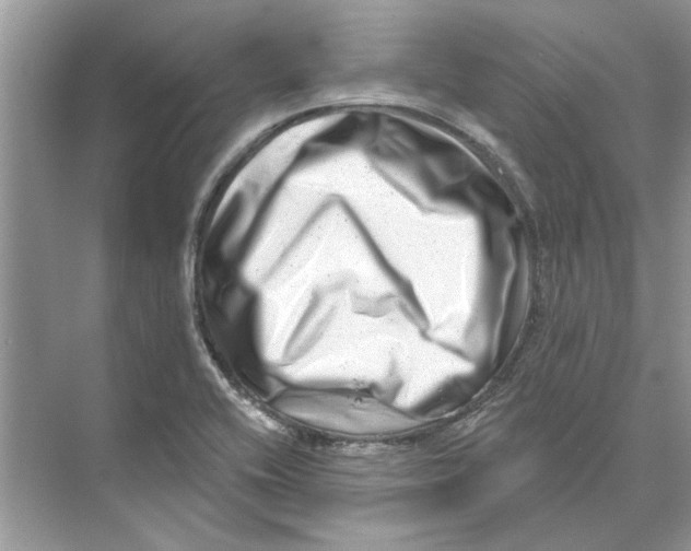 X0000074261416200609222139