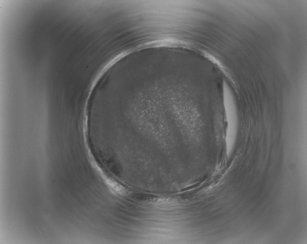 X0000074261418200609222139