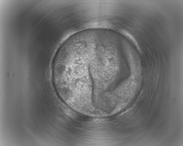 X0000074261419200609222139