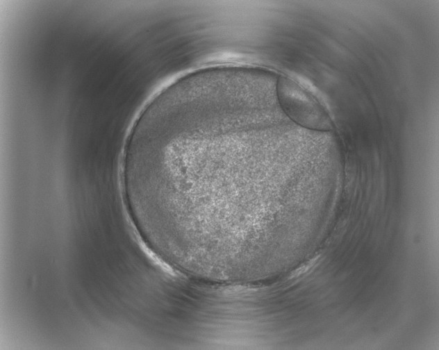 X0000074261421200609222139