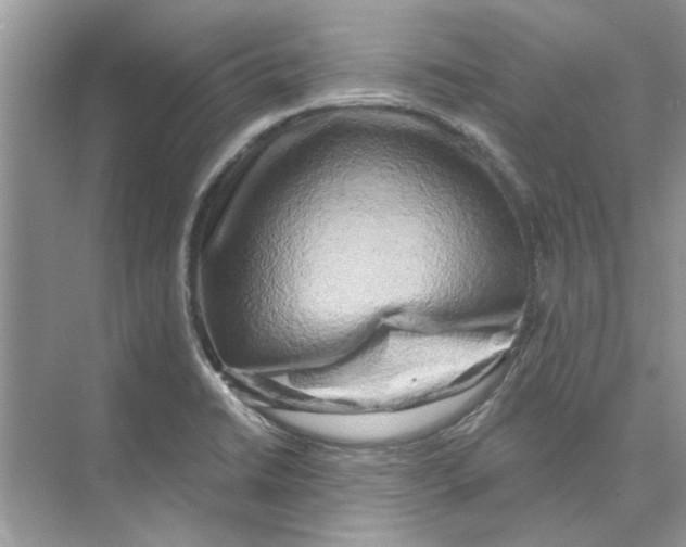 X0000074261422200609222139