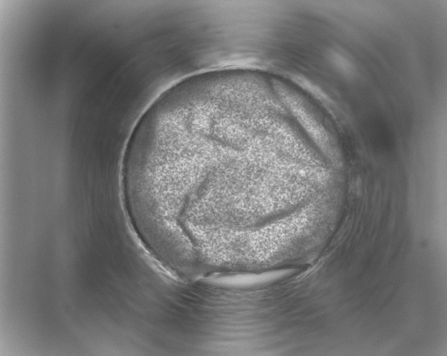 X0000074261423200609222139