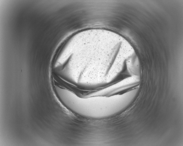 X0000074261424200609222139