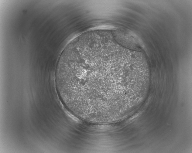 X0000074261425200609222139