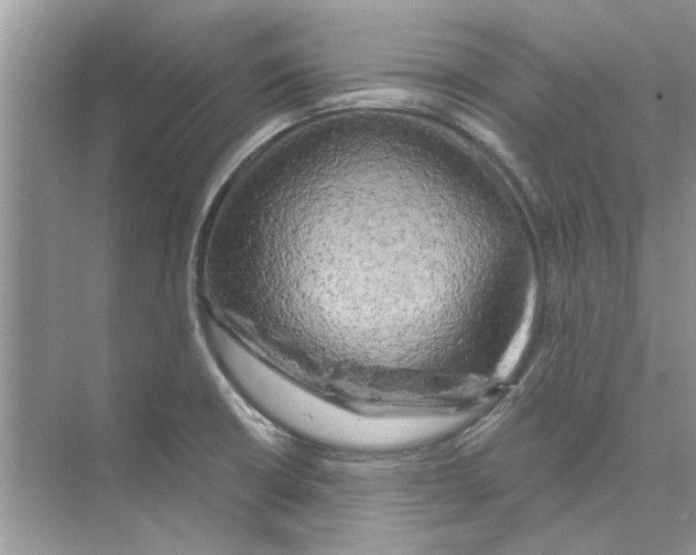 X0000074261426200609222139