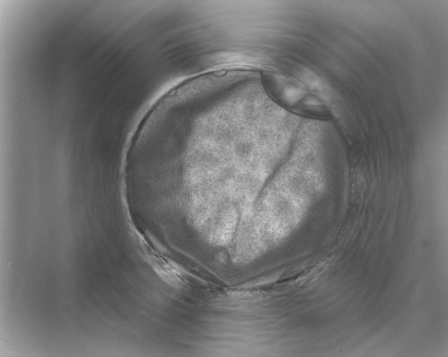 X0000074261427200609222139