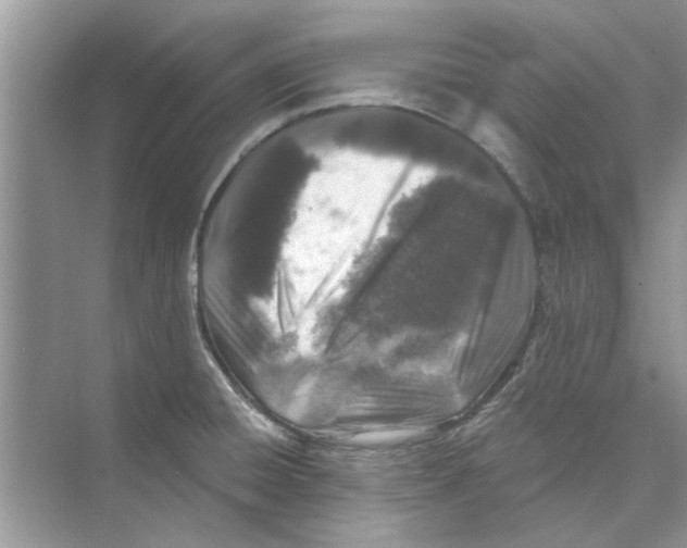 X0000074261428200609222139