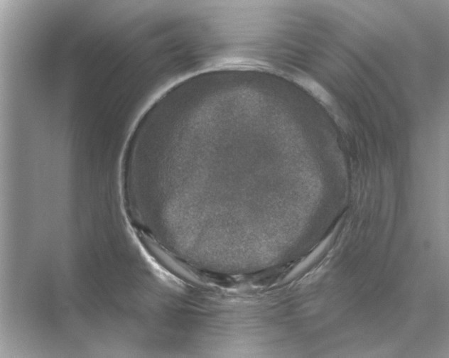 X0000074261430200609222139