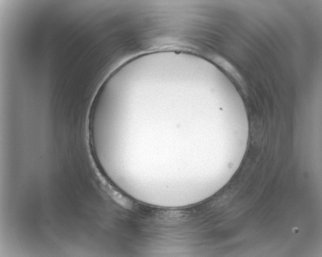 X0000074261431200609222139