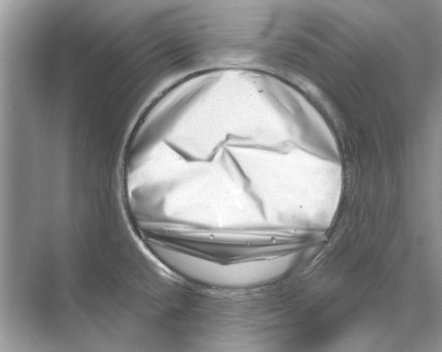 X0000074261432200609222139