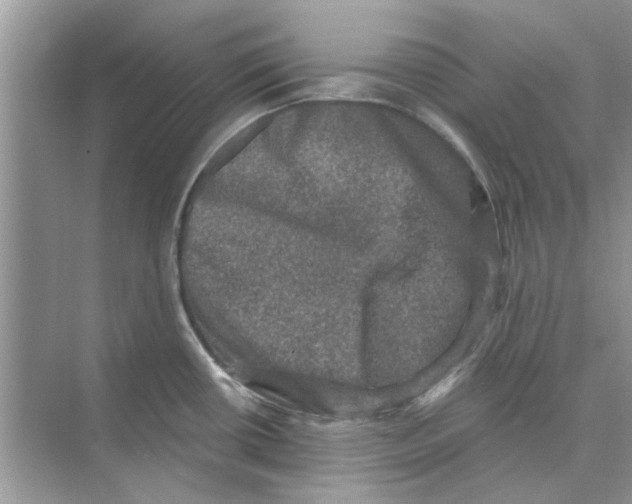 X0000074261434200609222139