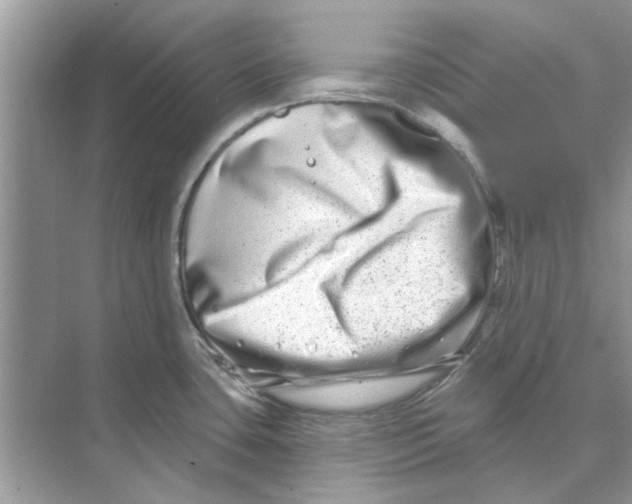 X0000074261435200609222139