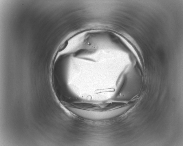 X0000074261437200609222139