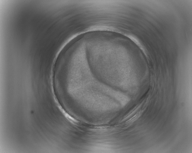 X0000074261438200609222139