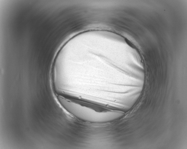 X0000074261440200609222139