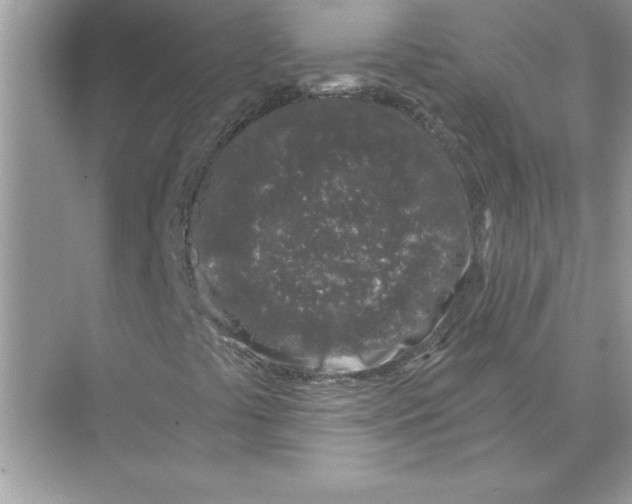 X0000074261441200609222139