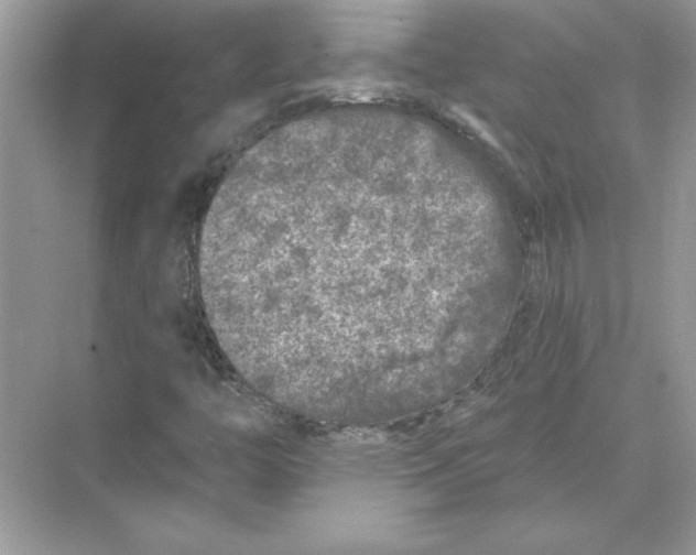 X0000074261446200609222139