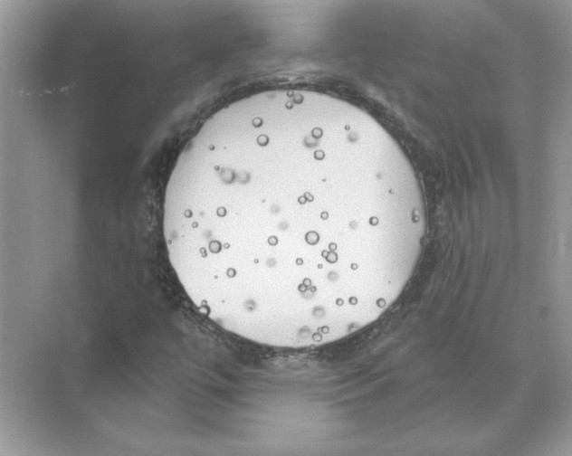 X0000074261447200609222138