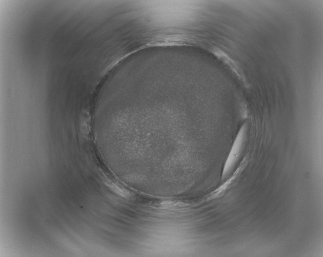 X0000074261449200609222138