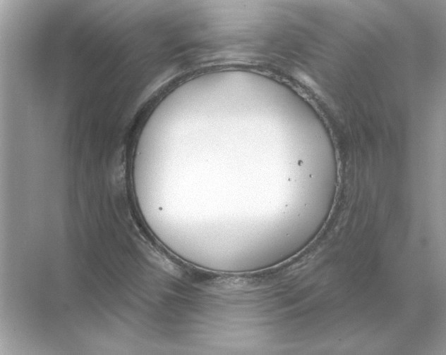 X0000074261450200609222138