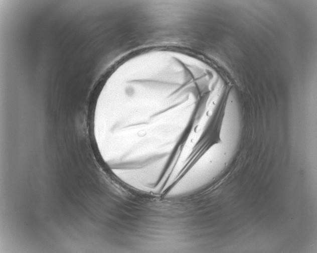 X0000074261452200609222138