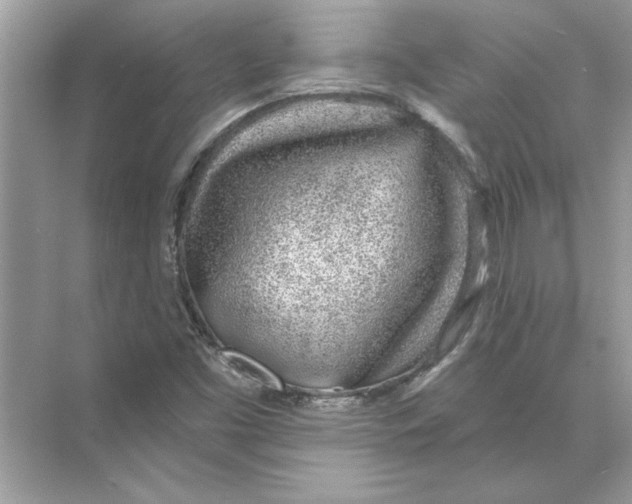 X0000074261453200609222138