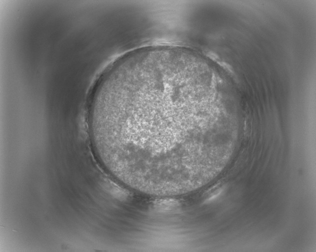 X0000074261454200609222138