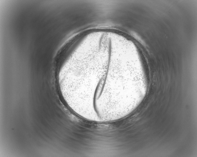 X0000074261456200609222138