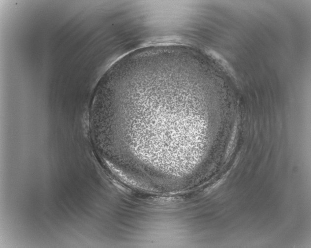 X0000074261457200609222138