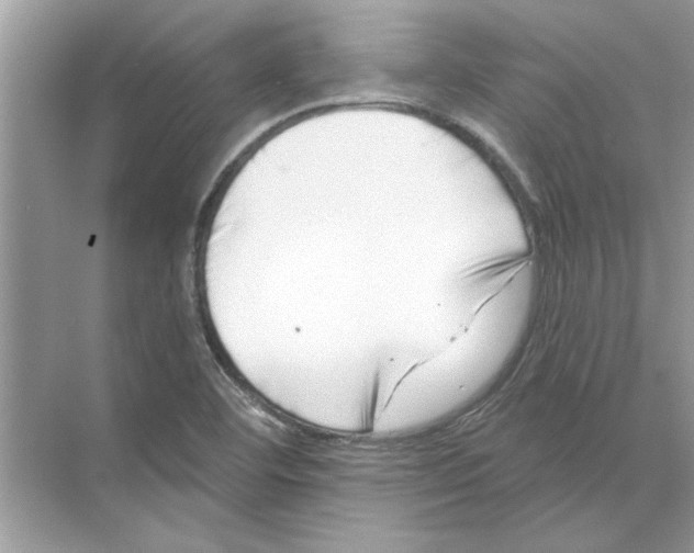 X0000074261460200609222138