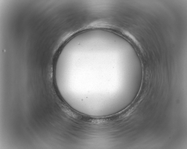 X0000074261461200609222138