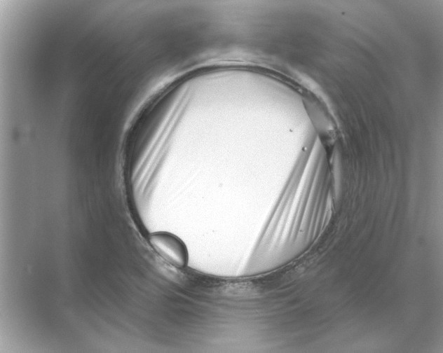 X0000074261464200609222138