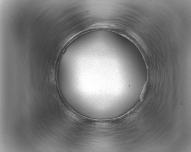 X0000074261465200609222138