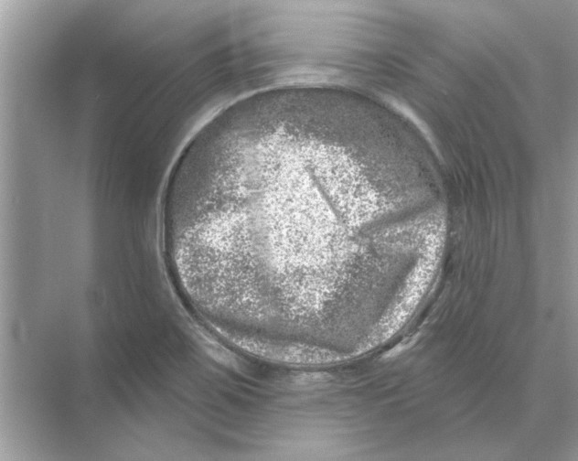 X0000074261467200609222138