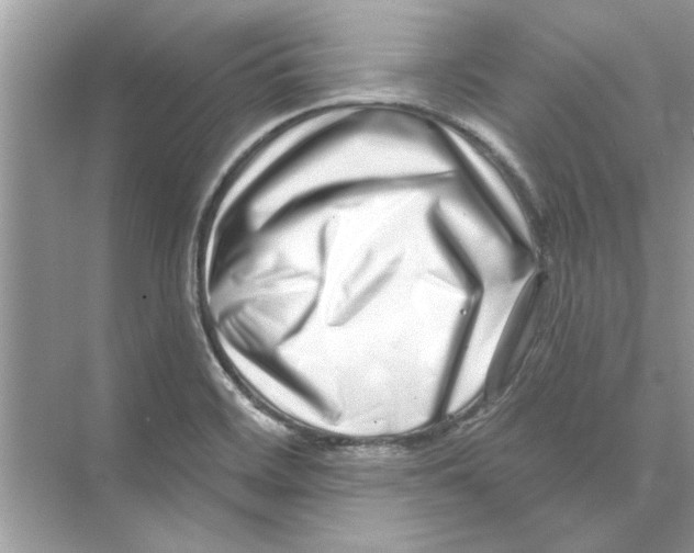 X0000074261468200609222138