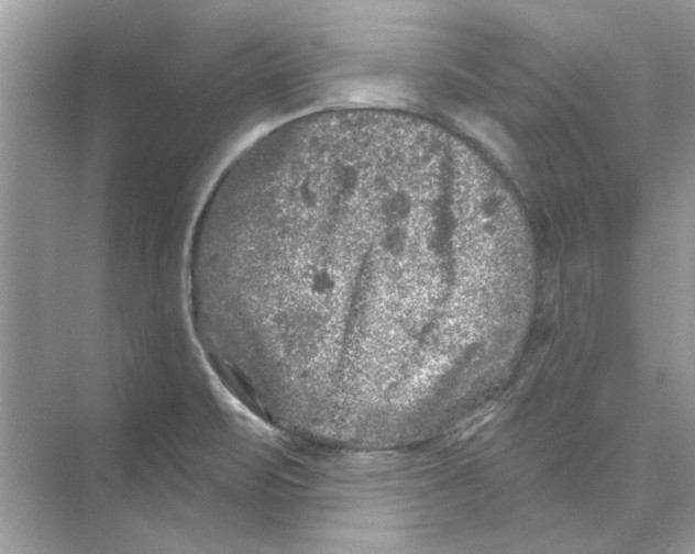 X0000074261471200609222138