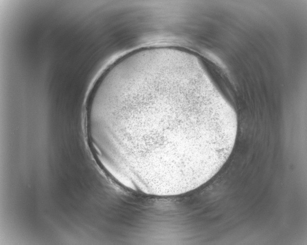 X0000074261472200609222138