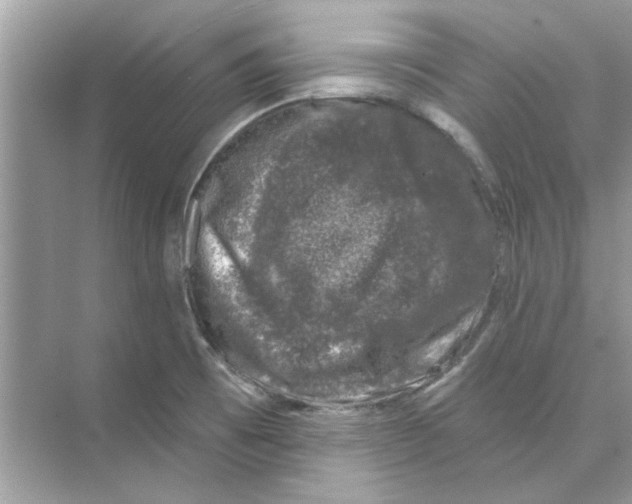 X0000074261473200609222138