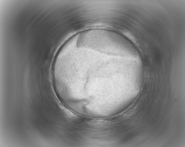 X0000074261474200609222138