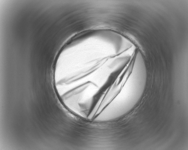 X0000074261476200609222138