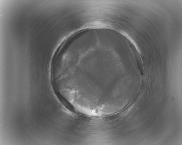 X0000074261477200609222138