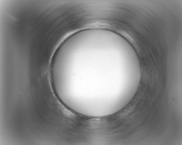 X0000074261478200609222138